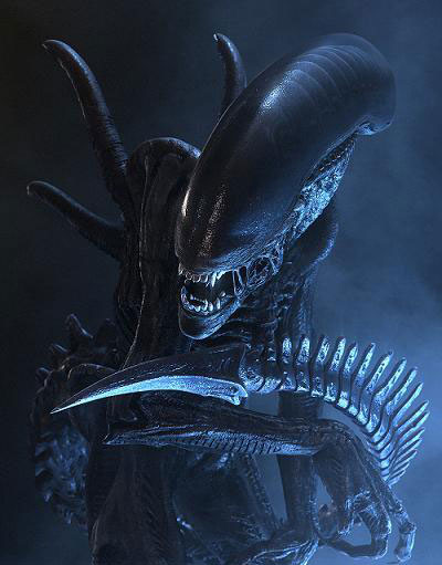 Image of an Xenomorph